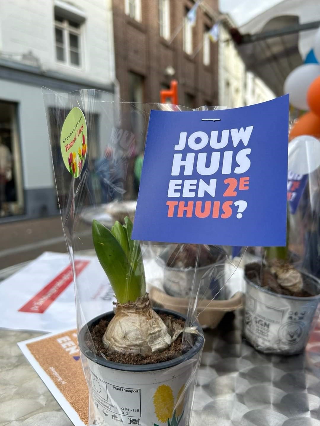 Actueel Nieuws Jeugdhulp Zuid Limburg